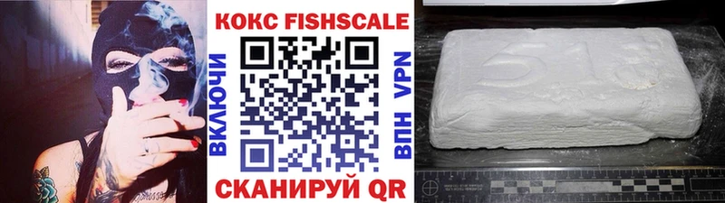 COCAIN Fish Scale  shop клад  Кингисепп  где продают  