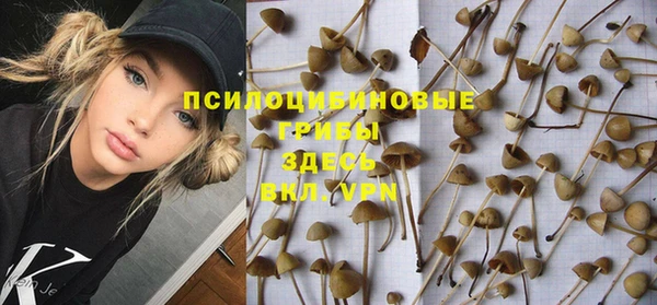 гашик Нефтегорск