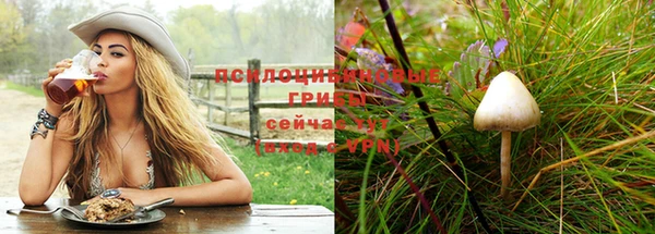 дмт Надым