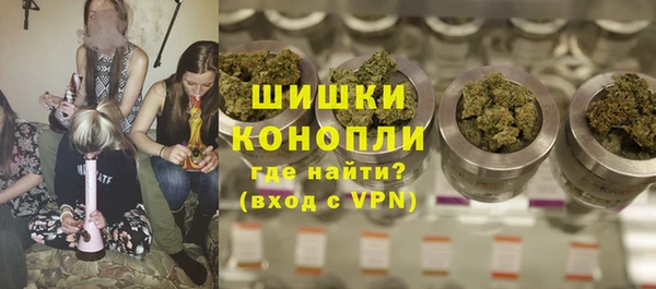 дмт Надым