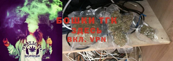 дмт Надым