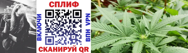 магазин    Кингисепп  кракен ссылки  Канабис LSD WEED 